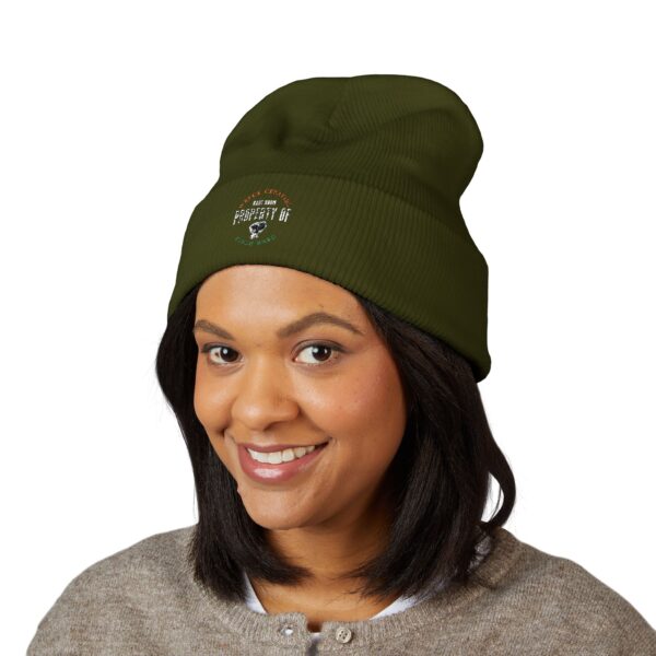Psych Ward Cuffed Beanie - Embroidered Hat, Winter Accessory, Gift for Him/Her, Streetwear Fashion, Cozy Beanie, Warm Headwear - Image 11